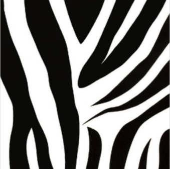 Decor| Zebra |