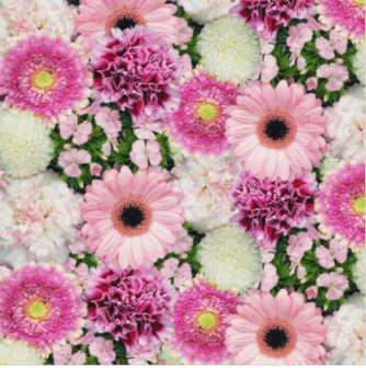 Decor| Gerbera| 